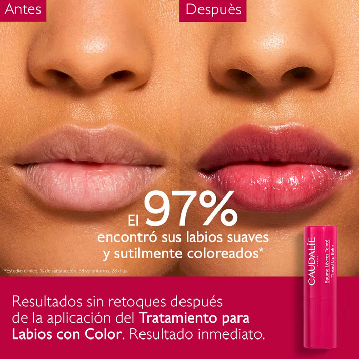 CAUDALIE BALSAMO DE LABIOS TINTE CON COLOR 4.5 G
