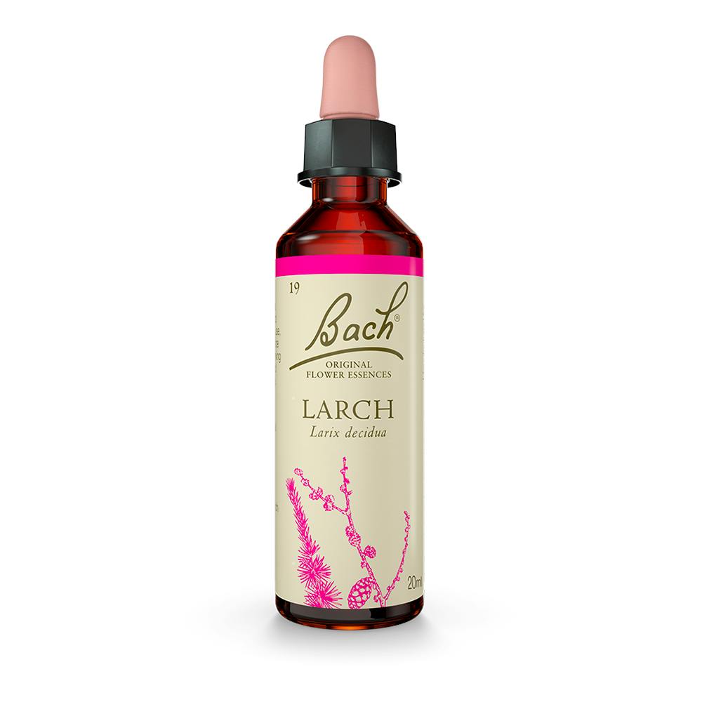 FLORES DE BACH LARCH 20 ML