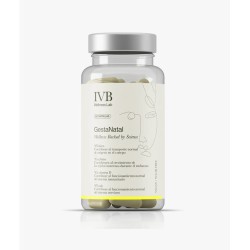 IVB GESTANATAL 60 CAPS